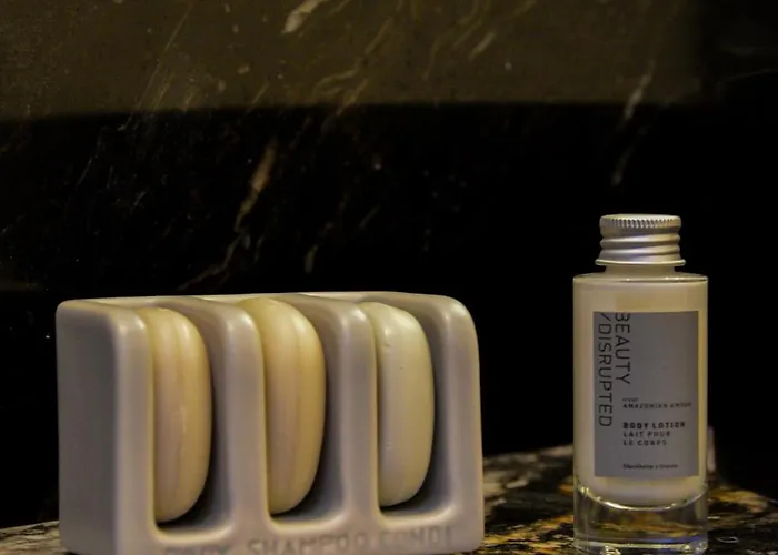 Villa La Chapelle Du Carmel - Centre - 340 M2 - - Cinema - Parking - Reims